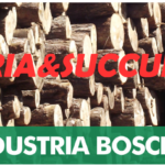 Ind.Boschiva Loria&Succurro